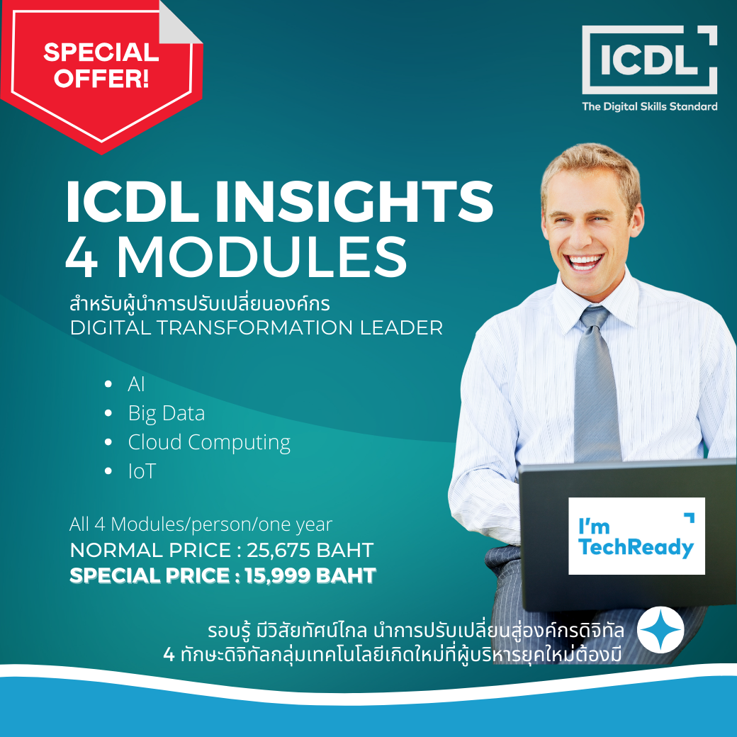 ICDL Insights 4 Modules