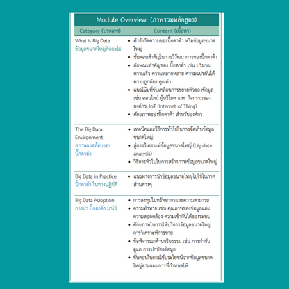 ICDL Big Data