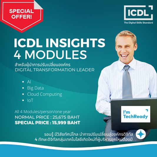 ICDL Insights 4 Modules